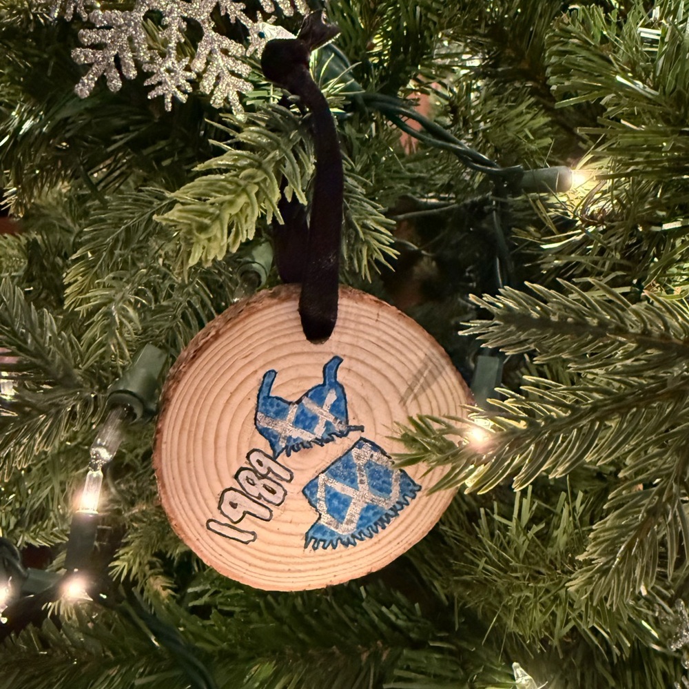Taylor Swift 1989 Eras Tour Hand Painted Wooden Ornament
